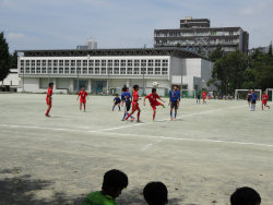 DSC00273[1].jpgのサムネール画像